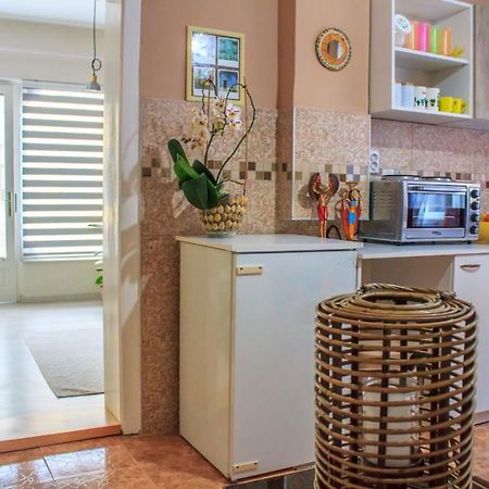 Bb Downtown Apartment Bajina Basta Bagian luar foto