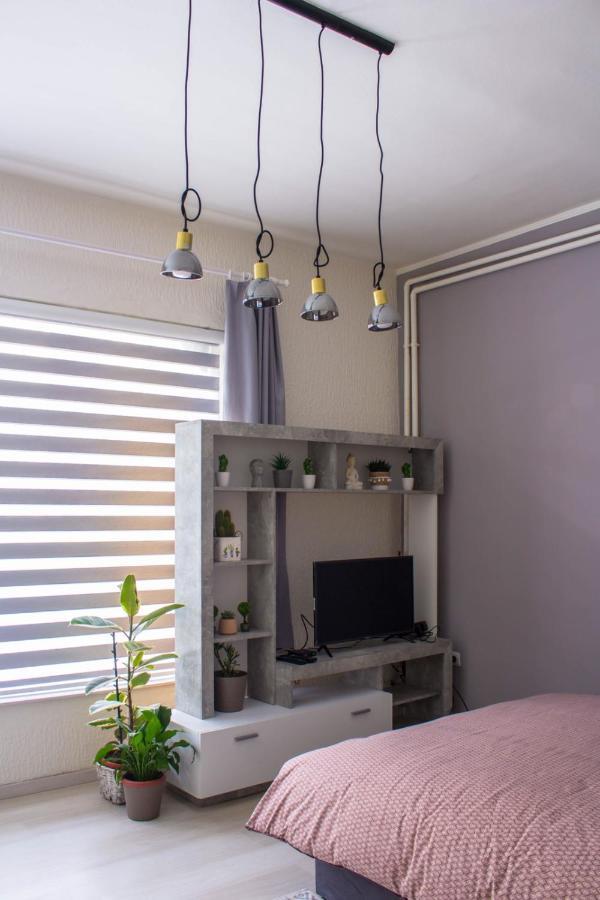 Bb Downtown Apartment Bajina Basta Bagian luar foto