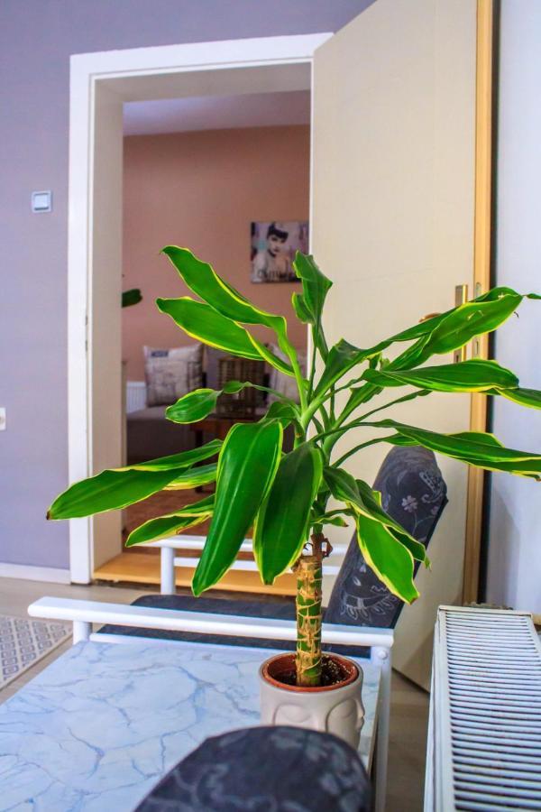 Bb Downtown Apartment Bajina Basta Bagian luar foto