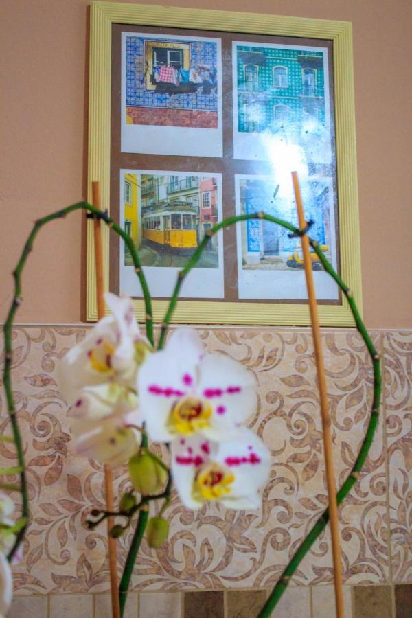 Bb Downtown Apartment Bajina Basta Bagian luar foto