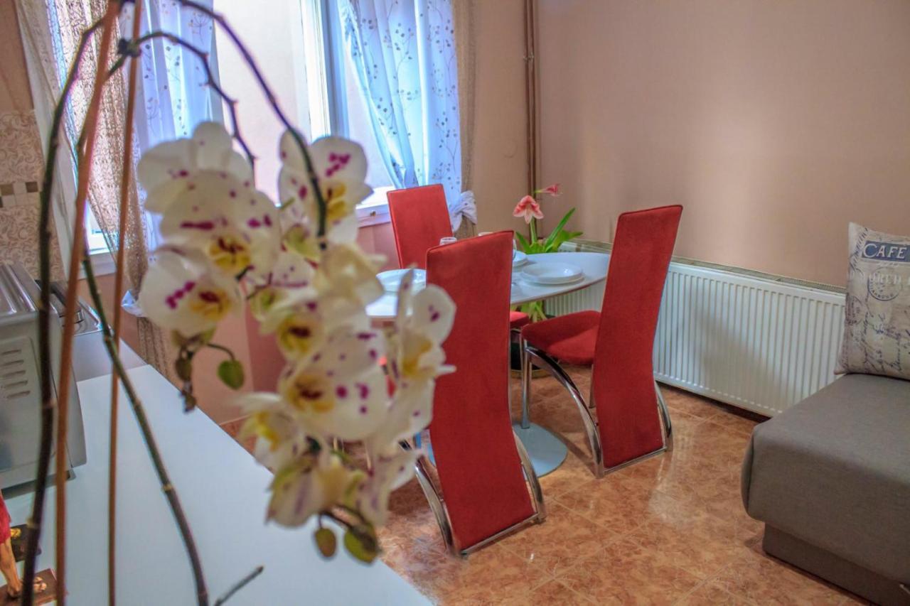 Bb Downtown Apartment Bajina Basta Bagian luar foto